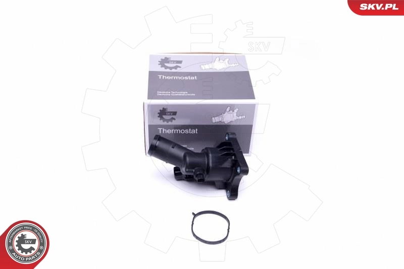 Thermostat, coolant